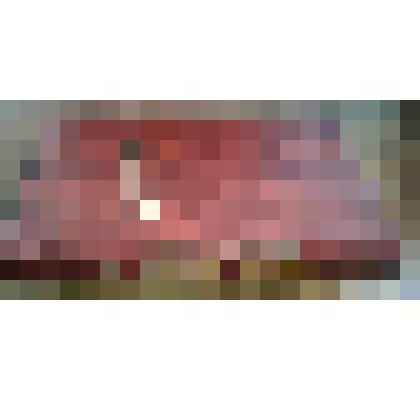 Книга памяти жертв политических репресий Смоленский мартиролог том 6 (Т - Я)