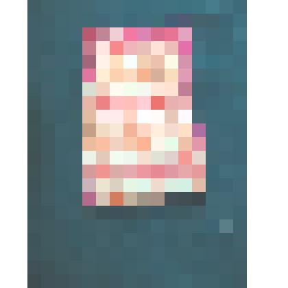 Кисет для табака РФ. 2010 год