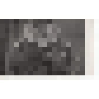 Ф/чб. Солдатов В.Т. (слева), мл/лейтенант, ком.взвода с сослуживцем ст/лейтенантом. Германия. 1946