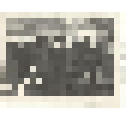 Фотография: депутаты городского исполкома на экскурсии в Каменском краеведческом музее