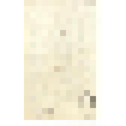 Гравюра. С работы Порбуса