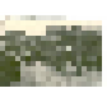 Фотография: генерал-майор Подшивайлов Денис Протасович в воинской части