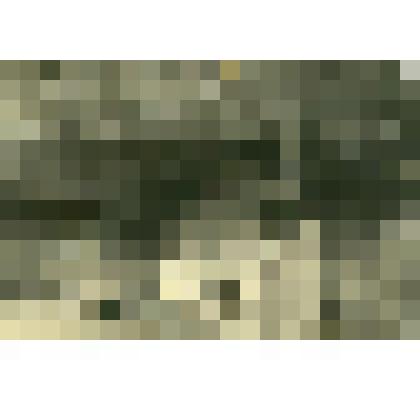 Фотография. Сени и фрагмент стены с иконами, обрамляющими дверь в церкви в селе Сельцо