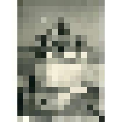 Фотография. Девятикупольная церковь Покрова Пресвятой Богородицы (1764 г.) на Кижском погосте