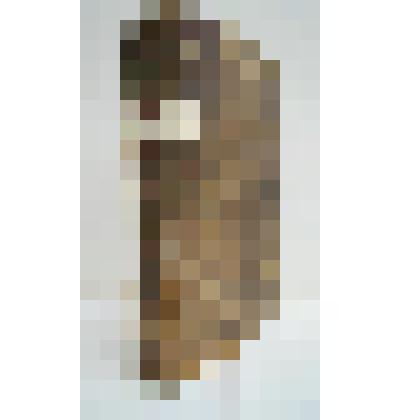 Книга. Елиана различные повести, с еллиногреческаго... перевел Иван Сичкарев. Ч.I-II. М., тип. Комп. типографич.,1787