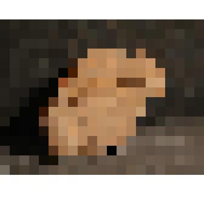 Изразец печной  стенной рельефный красный. Фрагмент