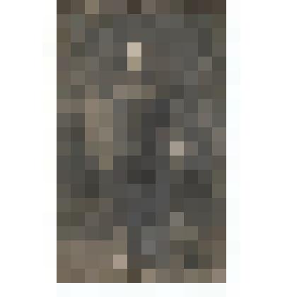 Ф/чб. Портрет неизвестного (друг Резниченко П.Г. в молодости). Покровск. ~ 1918-1919