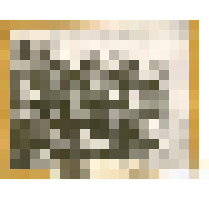 Фотография: комбайнеры на практике перед пуском ЧТЗ