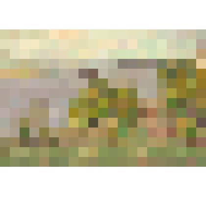 Картина. На Волге