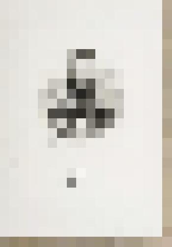 Портрет П.К. Услара