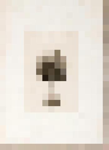 Портрет Ил.Ив. Глазунова (1786 - 1849). С оригинала И.Ф. Хруцкого (1843. Национальный художественный музей Республики Беларусь). Портрет-заметка Ив.Ил. Глазунова (1826 - 1889)