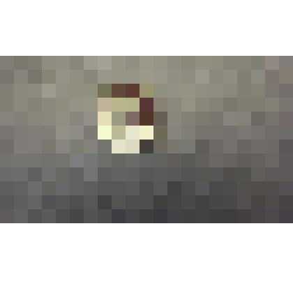 Значок "Архангельское"