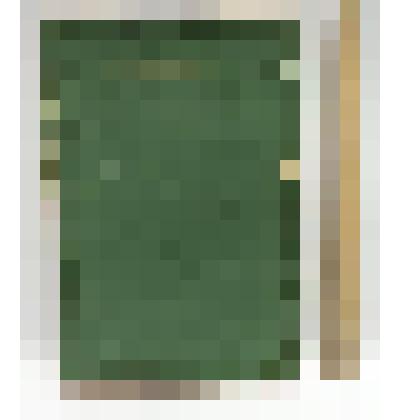 Поднос-картина Тегенцева Владимира Петровича, ветерана Великой Отечественной войны