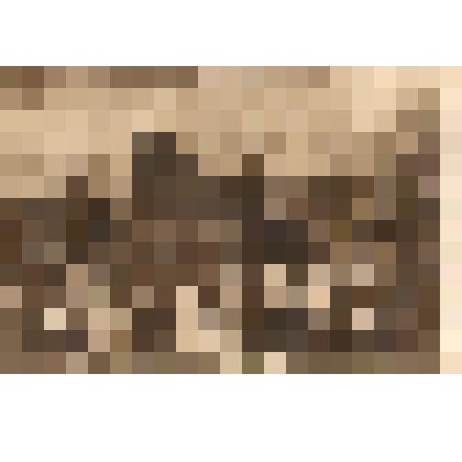 Открытка "В.И.Ленин произносит речь на Красной Площади в 1921 г."// Серия открыток, посвященных В.И. Ленину. Издательство Межрабпома