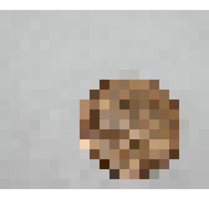 Монета. 10 копеек