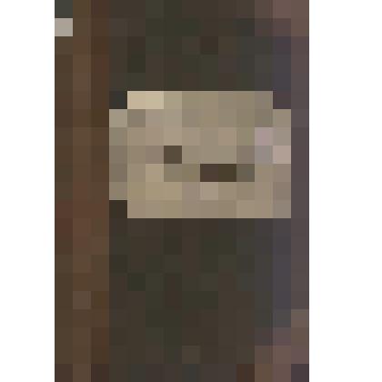 Документ. Газетные операции в Германии: организация подписки, газетный сбор, расчеты с издателями, документация и отчетность