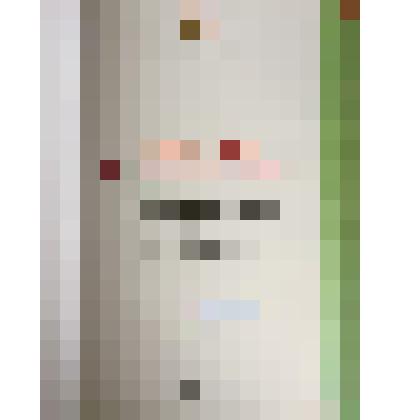 Книга. Красная книга Кемеровской области. "Редкие и находящиеся под угрозой исчезновения виды животных". Том 2