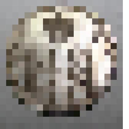 Медаль в честь коронования Николая II