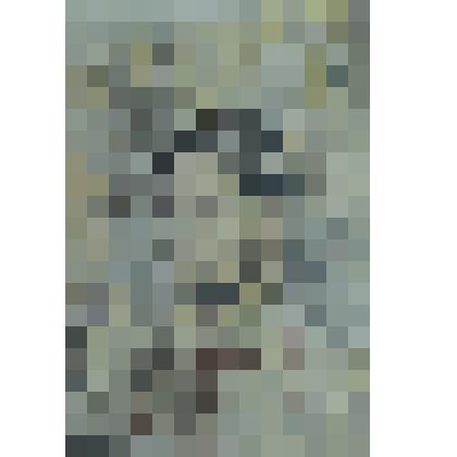 Автопортрет. Воспоминание о Приморье