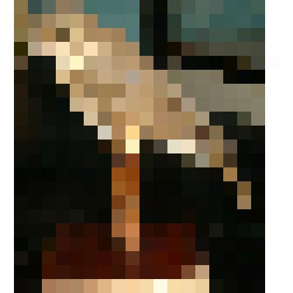 Рябинник. Дроздовые