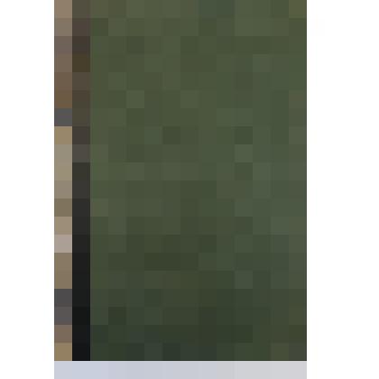 Энциклопедия Брокгауза и Эфрона. Том 21 (Внутри т. XI)