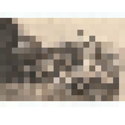 Ф/чб. Группа солдат и офицеров 148-й стрелковой дивизии с комдивом Мищенко А.А. и начальником штаба Васиным Н.Г. Украина. 1944