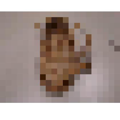 Лапоть (левый)