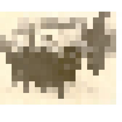 Фотография: праздничная колонна сотрудников редакции на демонстрации 7 ноября 1958 г