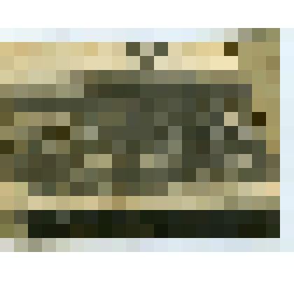 Фотография. Депутаты 18  волостного съезда советов Давыдковской волости Клинского уезда