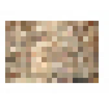 Доска пряничная с четырьмя резными изображениями животных