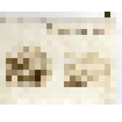 Купон к марке «К 100-летию В.И.Ленина»