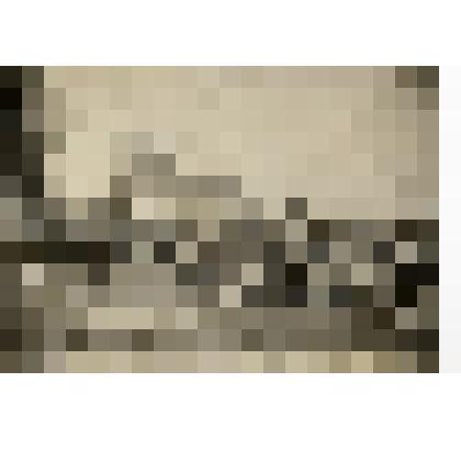 Коллективное фото театра "Красный Петрушка" п/р С.А. Малиновской на выезде в село