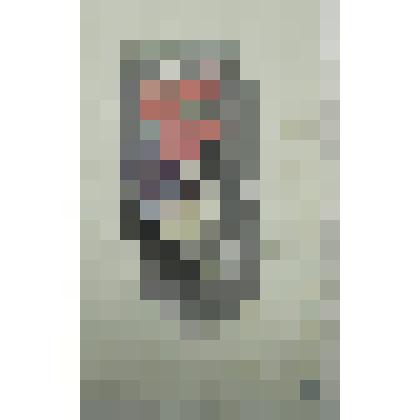 Орнамент. Виноградная лоза и лента. Рисунок