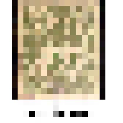 Марка фискальная, не почтовая, номиналом 20 копеек