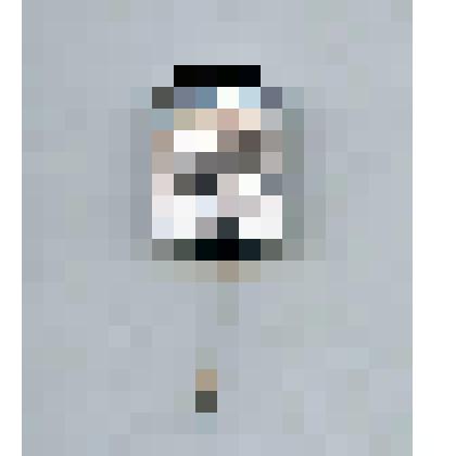 Значок с изображением головы Ленина