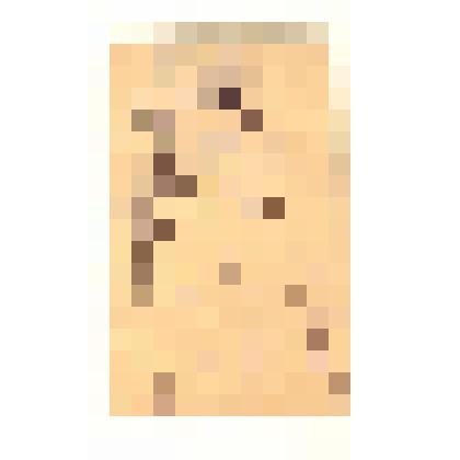 Рисунок. Первенец