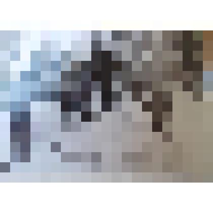 Фотография групповая. Дети в детском саду