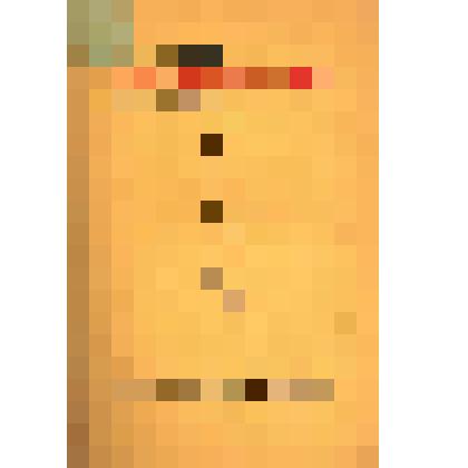 Книга. «Letzte Lockerung. Manifest DADA». Hannover: Paul Steegemann Verlag,1920