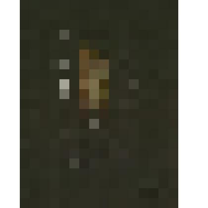 Глава 3, стихи 28-35. [3:28-35].  Из серии иллюстраций к «Евангелию от Марка». 2010-2011