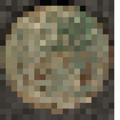 Монета. 10 копеек. Россия страна