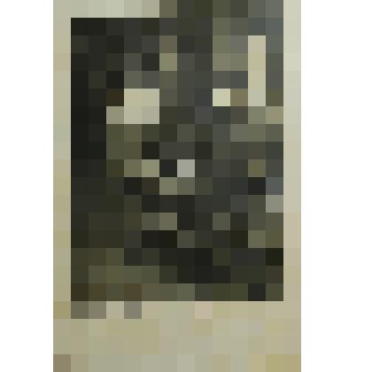 Фотография С. П. Ильина