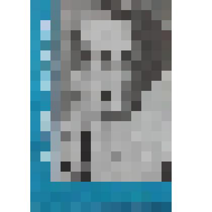 Брошюра – сборник стихов
Я с детства Мильковым больна