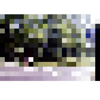 Диапозитив. (245)