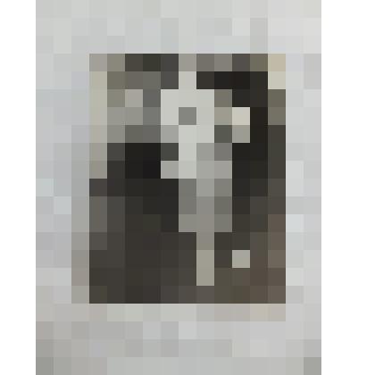 Фотопортрет участника войны