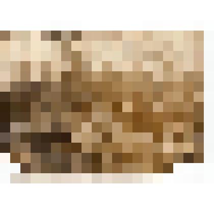 Ф/чб. Полиотдел 148-й стрелковой дивизии. Сидят слева: 2 - Кирьянов, Луканов, инструктор политотдела Никтин Владимир Николаевич, Силантьев и другие. 1943-1945