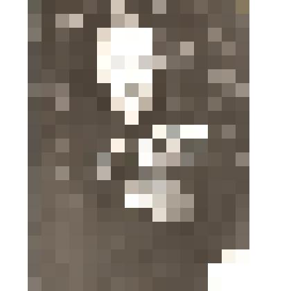 Фотография. Алексенко И.Т., участник ВОВ. Изображение поясное, сидя, в костюме с наградами, анфас; на фоне ковра