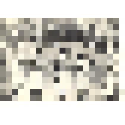 Фотография: традиционный вечер "За честь школы" в школе № 2 г.Камня-на-Оби Алтайского края