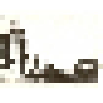 Фотография: дом купца Зорина по улице Главной с.Камень Барнаульского уезда Томской губернии. Копия