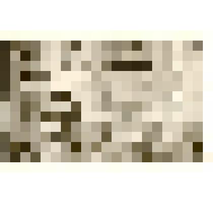 Фотография: экспозиция Каменского краеведческого музея. Отдел истории