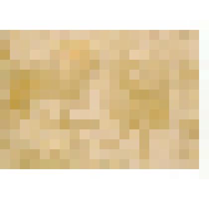 Фотография. Камланье. Пляска шамана